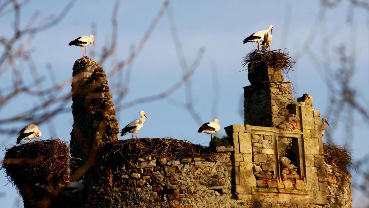 Normand'Histoire Chambres D'Hotes Isigny-sur-Mer Kültér fotó